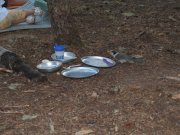 8.26-27.06 Twin Lakes & Palmateer Point 070 